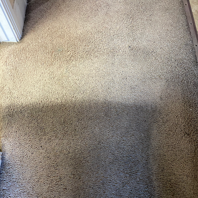 PurElements Carpet Cleaning Specialists